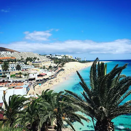 Appartement Amber - Pink *